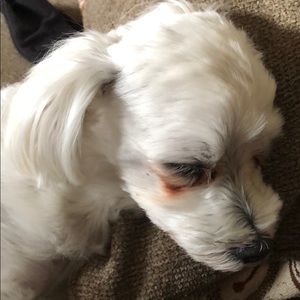 Meet your Posher, Christy